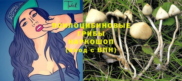 mdma Богородицк